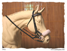 Hackamore snaffle combo bridle for model horses made by Jana Skybova